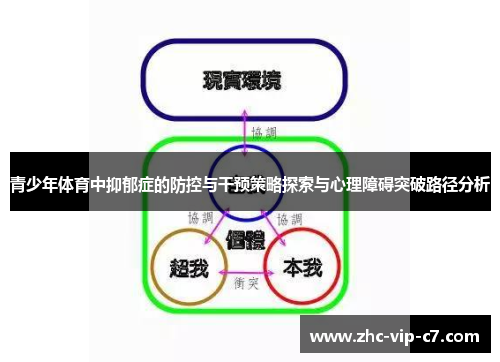 青少年体育中抑郁症的防控与干预策略探索与心理障碍突破路径分析