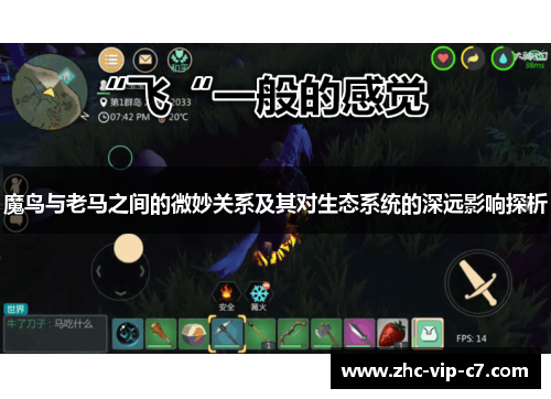 魔鸟与老马之间的微妙关系及其对生态系统的深远影响探析