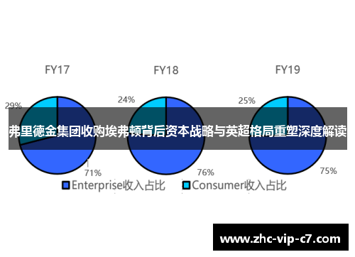 弗里德金集团收购埃弗顿背后资本战略与英超格局重塑深度解读